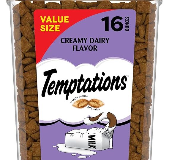 DIY-Christmas-Candy-Gift-Bags-Bulk-Packs