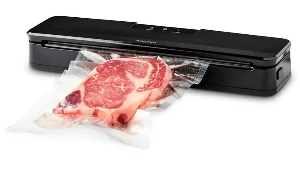 Best Vacuum Food Sealers